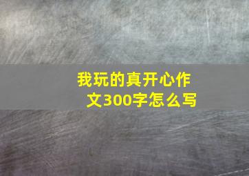 我玩的真开心作文300字怎么写