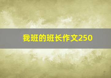 我班的班长作文250