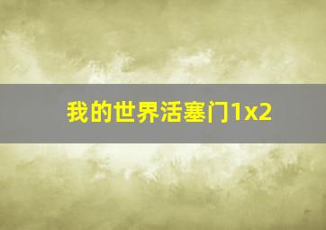 我的世界活塞门1x2