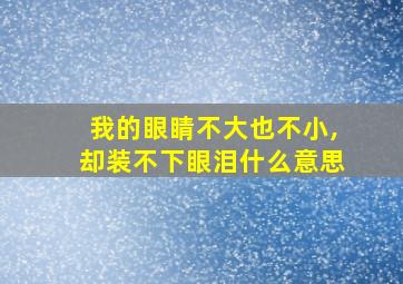 我的眼睛不大也不小,却装不下眼泪什么意思