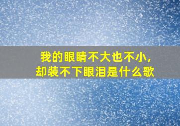 我的眼睛不大也不小,却装不下眼泪是什么歌