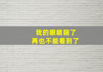 我的眼睛瞎了再也不能看到了