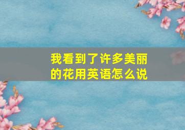 我看到了许多美丽的花用英语怎么说