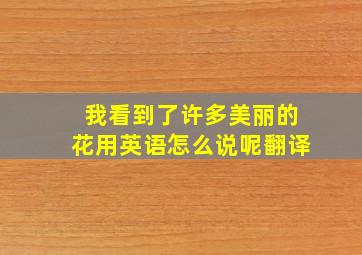 我看到了许多美丽的花用英语怎么说呢翻译