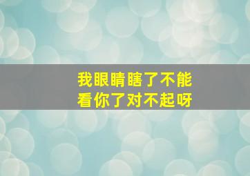 我眼睛瞎了不能看你了对不起呀