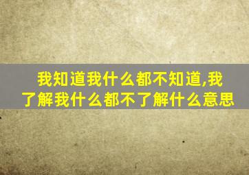 我知道我什么都不知道,我了解我什么都不了解什么意思