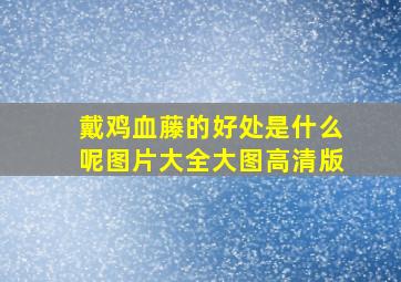 戴鸡血藤的好处是什么呢图片大全大图高清版