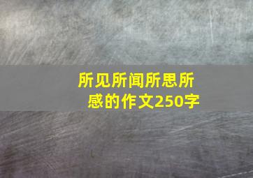 所见所闻所思所感的作文250字