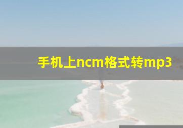 手机上ncm格式转mp3