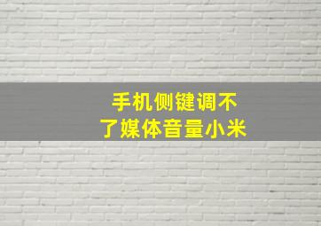 手机侧键调不了媒体音量小米