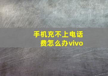 手机充不上电话费怎么办vivo