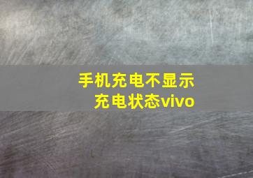 手机充电不显示充电状态vivo