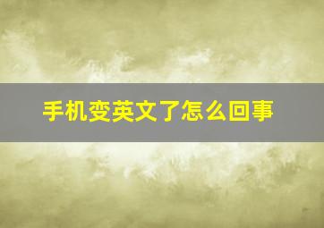 手机变英文了怎么回事