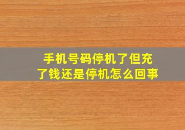 手机号码停机了但充了钱还是停机怎么回事