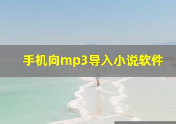 手机向mp3导入小说软件