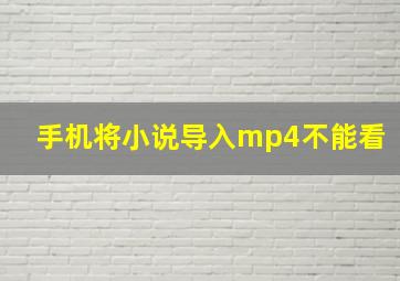 手机将小说导入mp4不能看