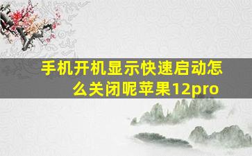 手机开机显示快速启动怎么关闭呢苹果12pro