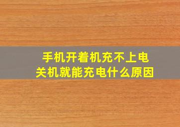 手机开着机充不上电关机就能充电什么原因