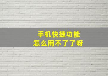 手机快捷功能怎么用不了了呀