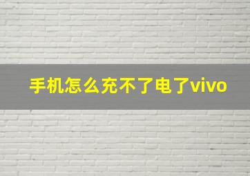 手机怎么充不了电了vivo