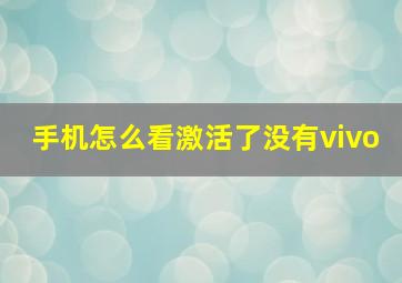 手机怎么看激活了没有vivo