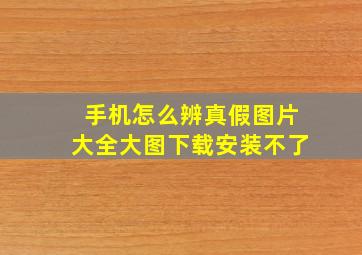 手机怎么辨真假图片大全大图下载安装不了