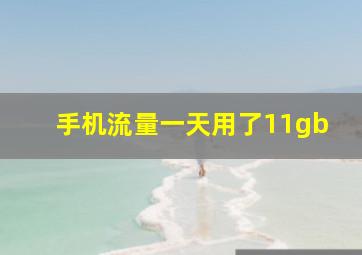 手机流量一天用了11gb