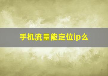 手机流量能定位ip么