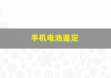 手机电池鉴定