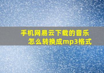 手机网易云下载的音乐怎么转换成mp3格式