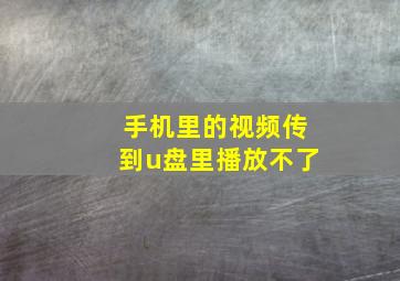 手机里的视频传到u盘里播放不了