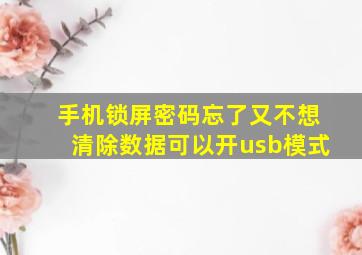 手机锁屏密码忘了又不想清除数据可以开usb模式