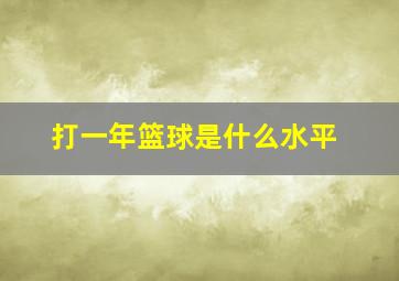 打一年篮球是什么水平