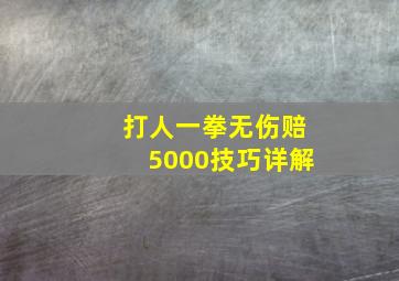 打人一拳无伤赔5000技巧详解