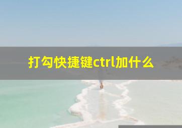 打勾快捷键ctrl加什么