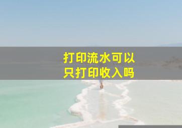 打印流水可以只打印收入吗