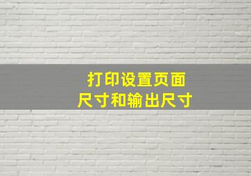 打印设置页面尺寸和输出尺寸