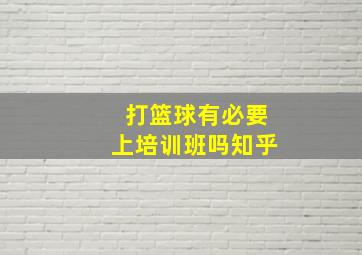 打篮球有必要上培训班吗知乎