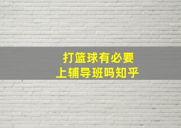 打篮球有必要上辅导班吗知乎