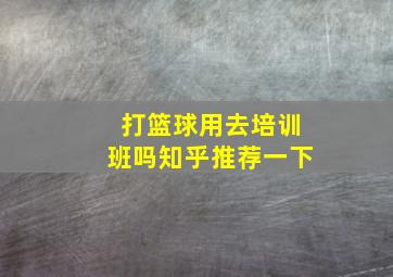 打篮球用去培训班吗知乎推荐一下