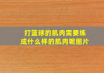 打篮球的肌肉需要练成什么样的肌肉呢图片