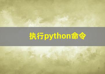 执行python命令