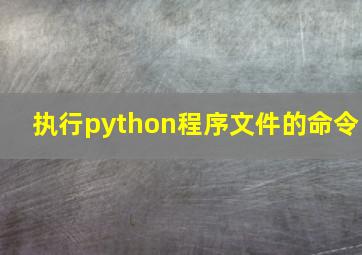 执行python程序文件的命令