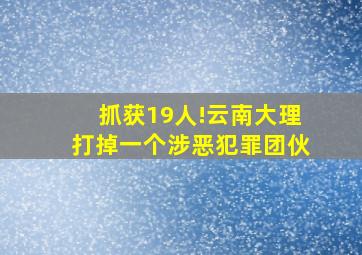 抓获19人!云南大理打掉一个涉恶犯罪团伙