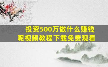 投资500万做什么赚钱呢视频教程下载免费观看