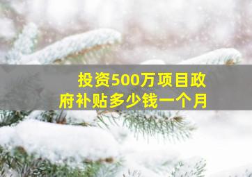 投资500万项目政府补贴多少钱一个月