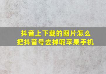 抖音上下载的图片怎么把抖音号去掉呢苹果手机