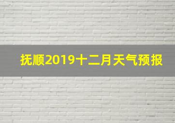 抚顺2019十二月天气预报