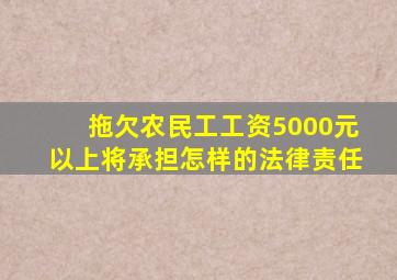 拖欠农民工工资5000元以上将承担怎样的法律责任