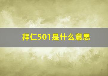 拜仁501是什么意思